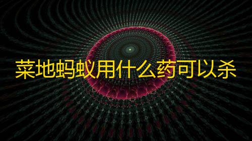 暗区买挂网址菜地蚂蚁用什么药可以杀死